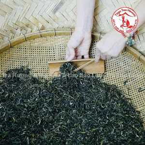 Lục Thủy Blao - Trà Hương B'lao - Trà B'Lao Bảo Lộc - Trà Thủ Công Bảo Lộc