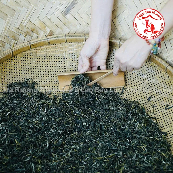 Lục Thủy Blao - Trà Hương B'lao - Trà B'Lao Bảo Lộc - Trà Thủ Công Bảo Lộc